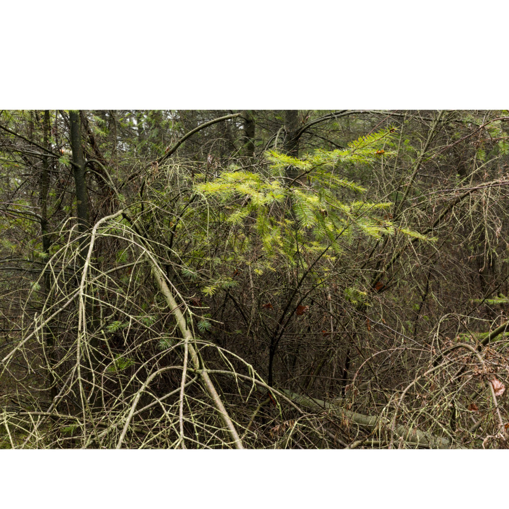 #32D West (Current) – Woudenberg