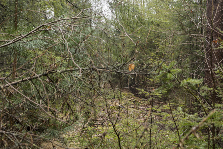 #32D North (Current) – Woudenberg