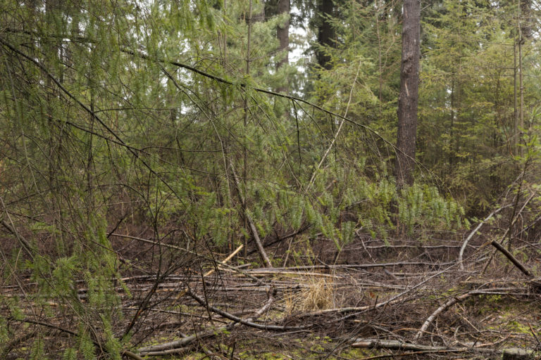 #32D East (Current) – Woudenberg