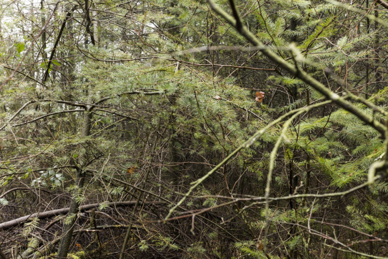 #32D South (Current) – Woudenberg