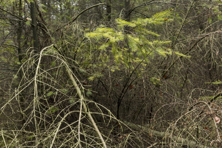 #32D West (Current) – Woudenberg