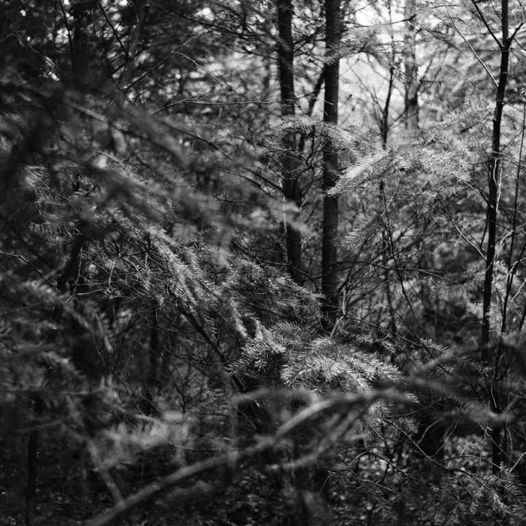 #32D North (Past) – Woudenberg