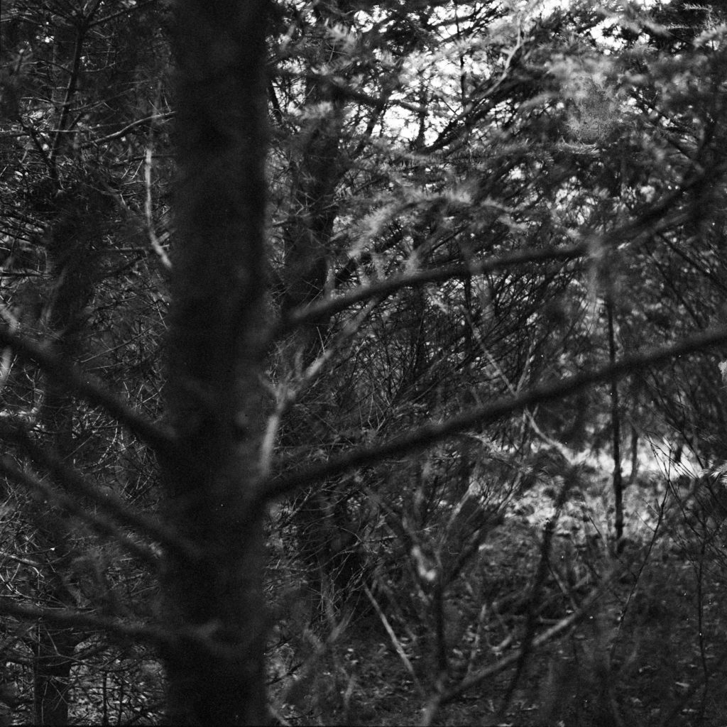 #32D East (Past) – Woudenberg