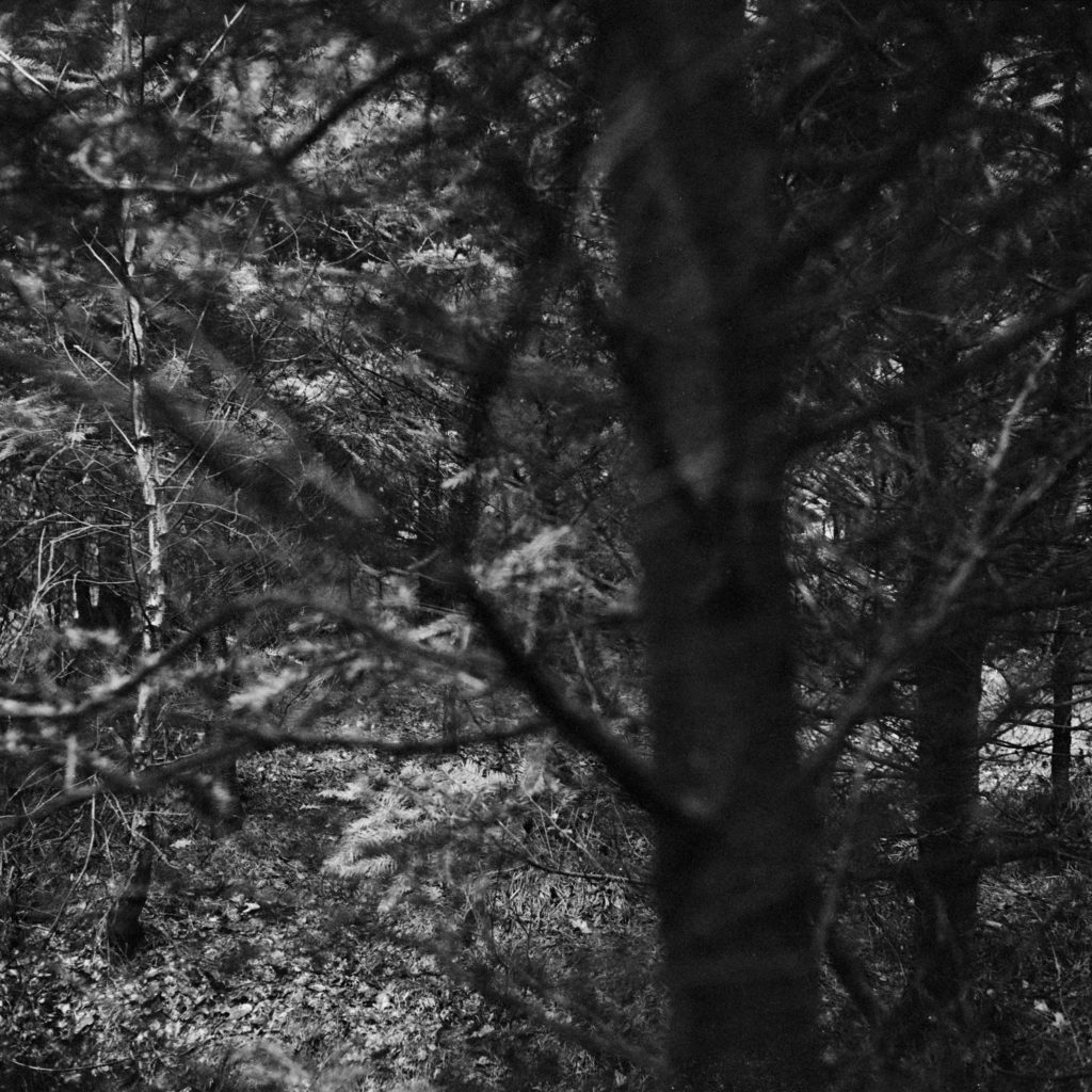 #32D South (Past) – Woudenberg