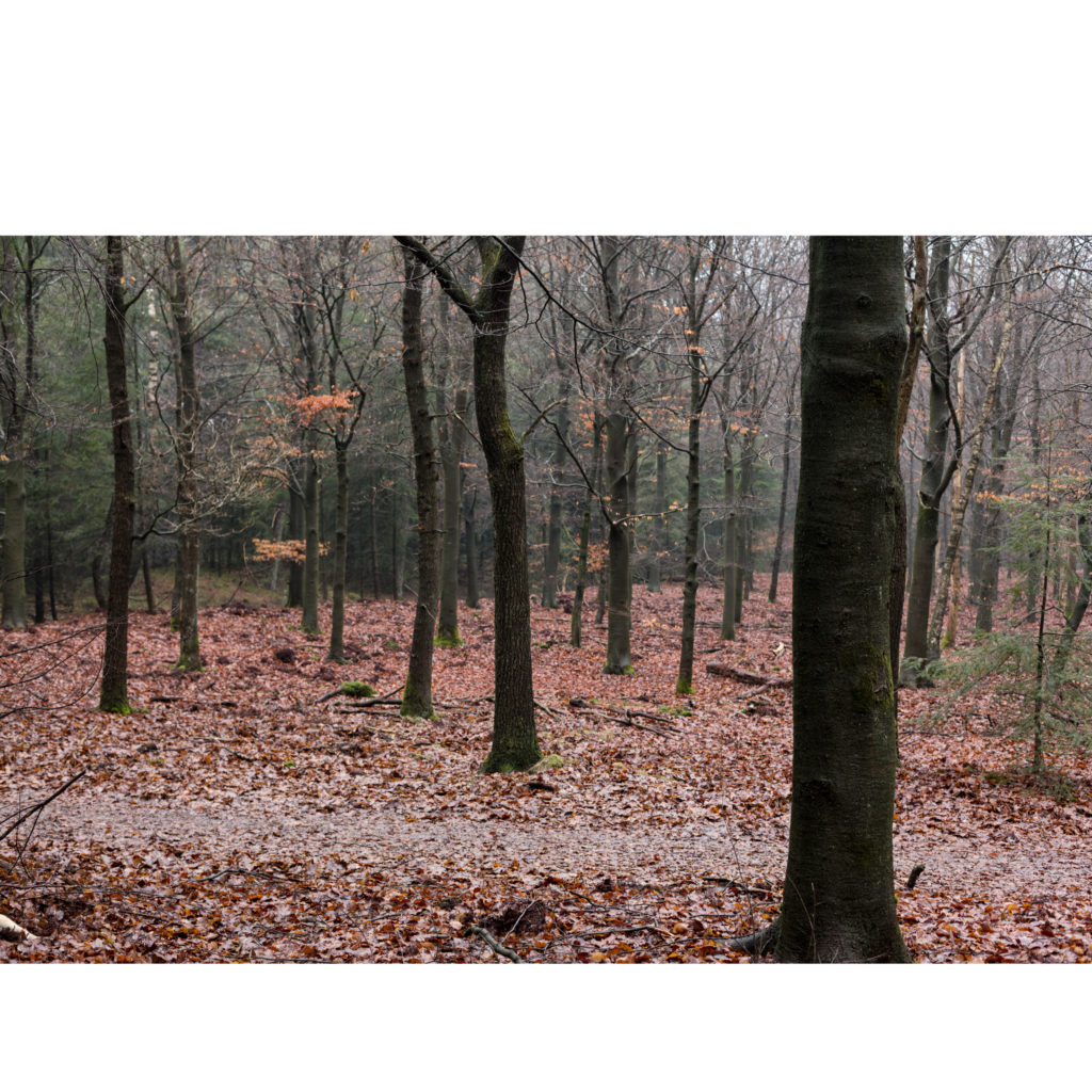 #32F North (Current) – Stroe