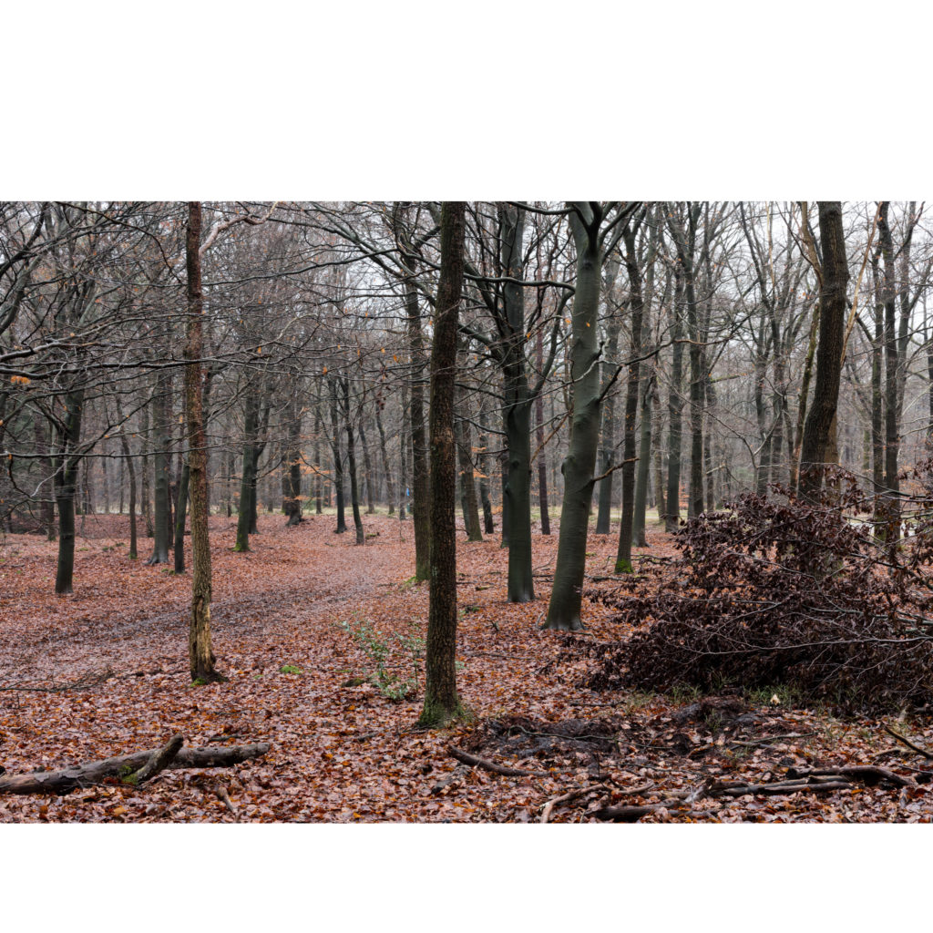 #32F East (Current) – Stroe