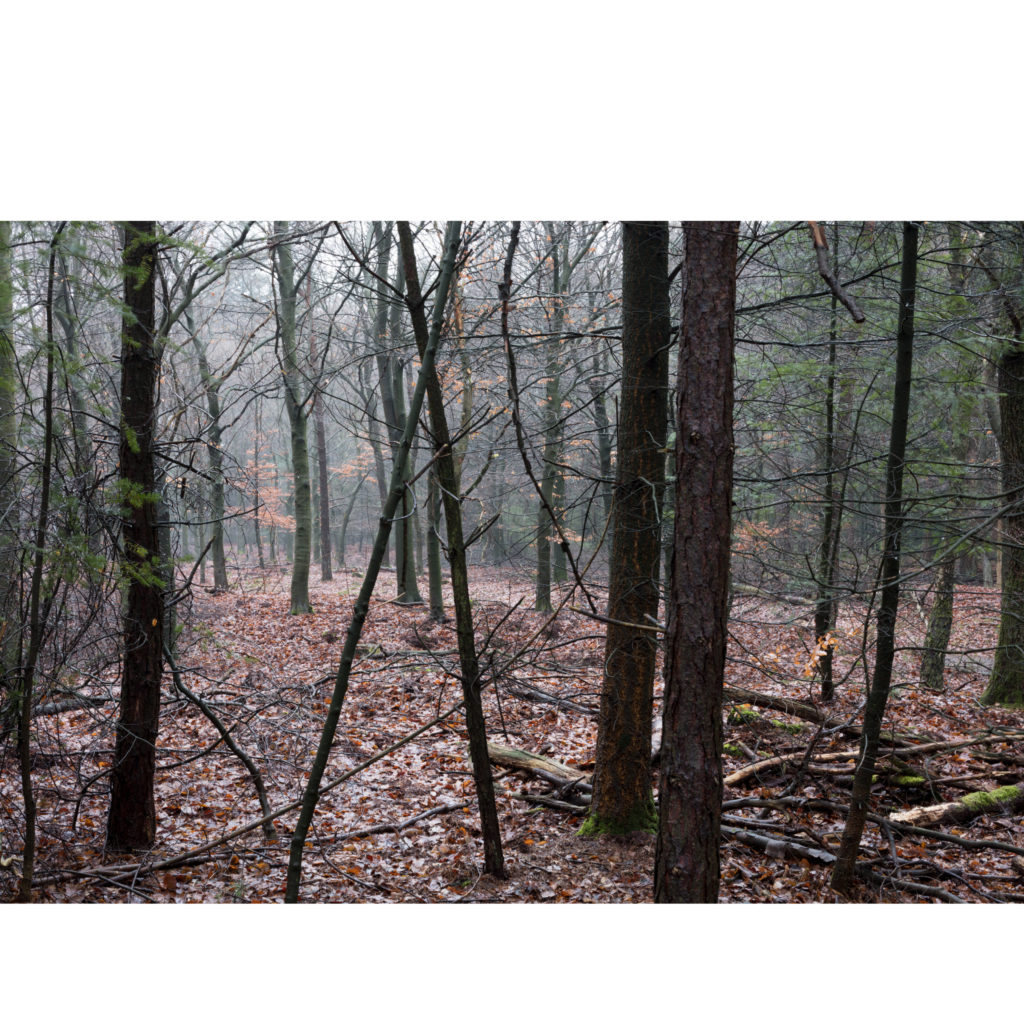 #32F West (Current) – Stroe