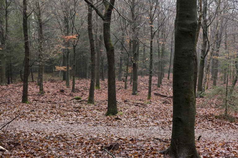 #32F North (Current) – Stroe