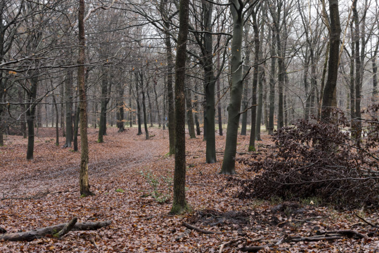 #32F East (Current) – Stroe