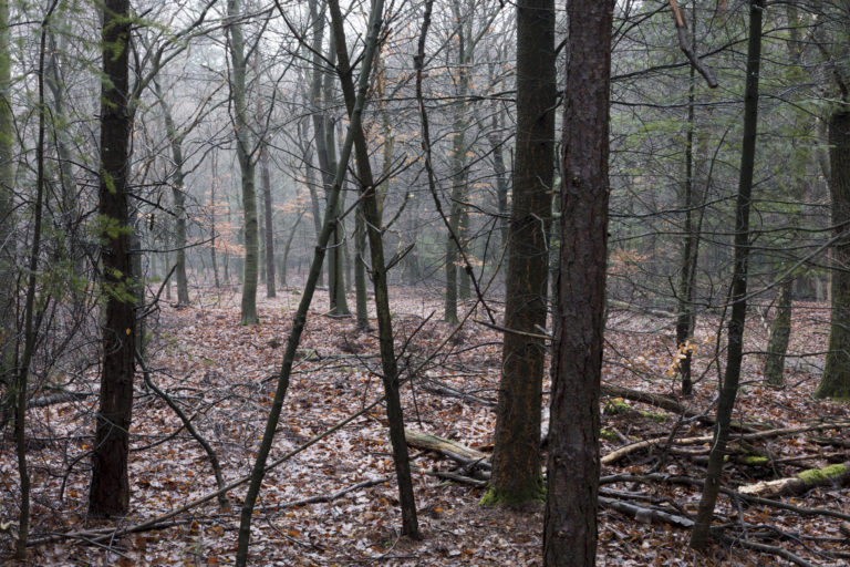 #32F West (Current) – Stroe