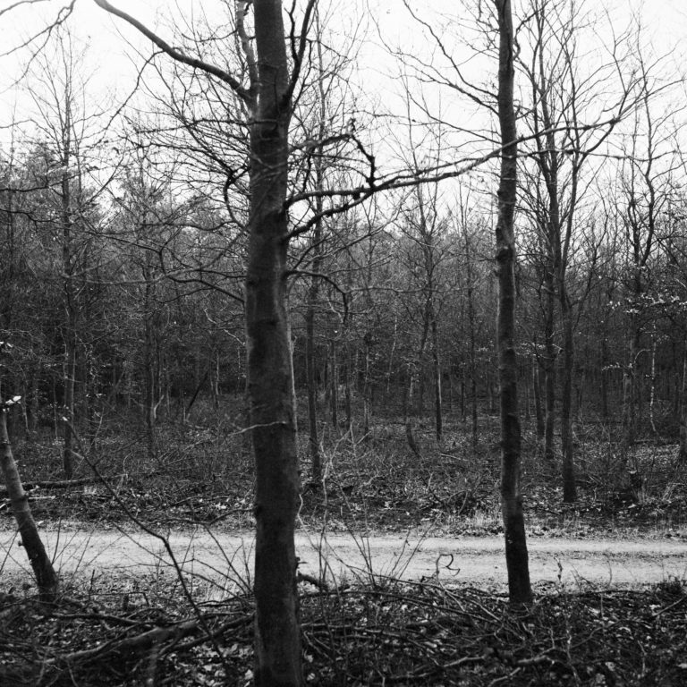 #32F North (Past) – Stroe