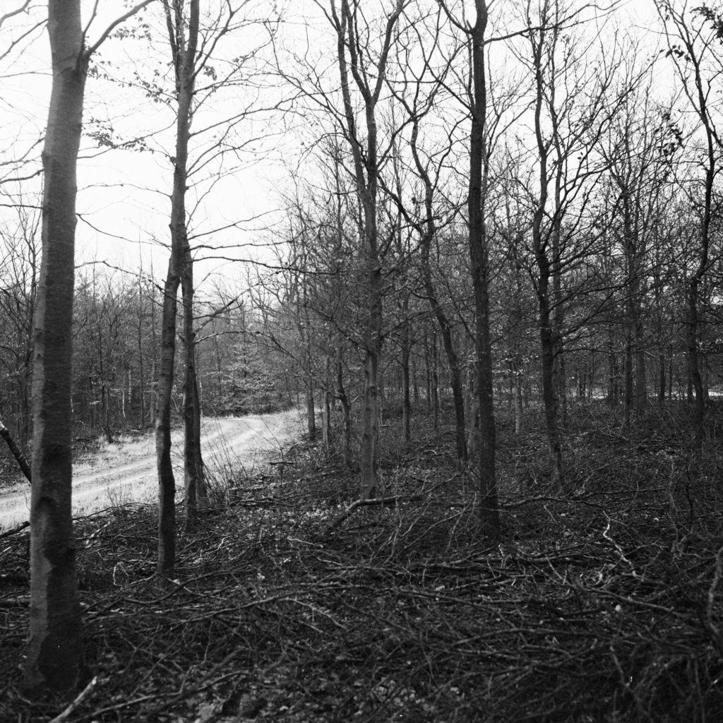 #32F East (Past) – Stroe