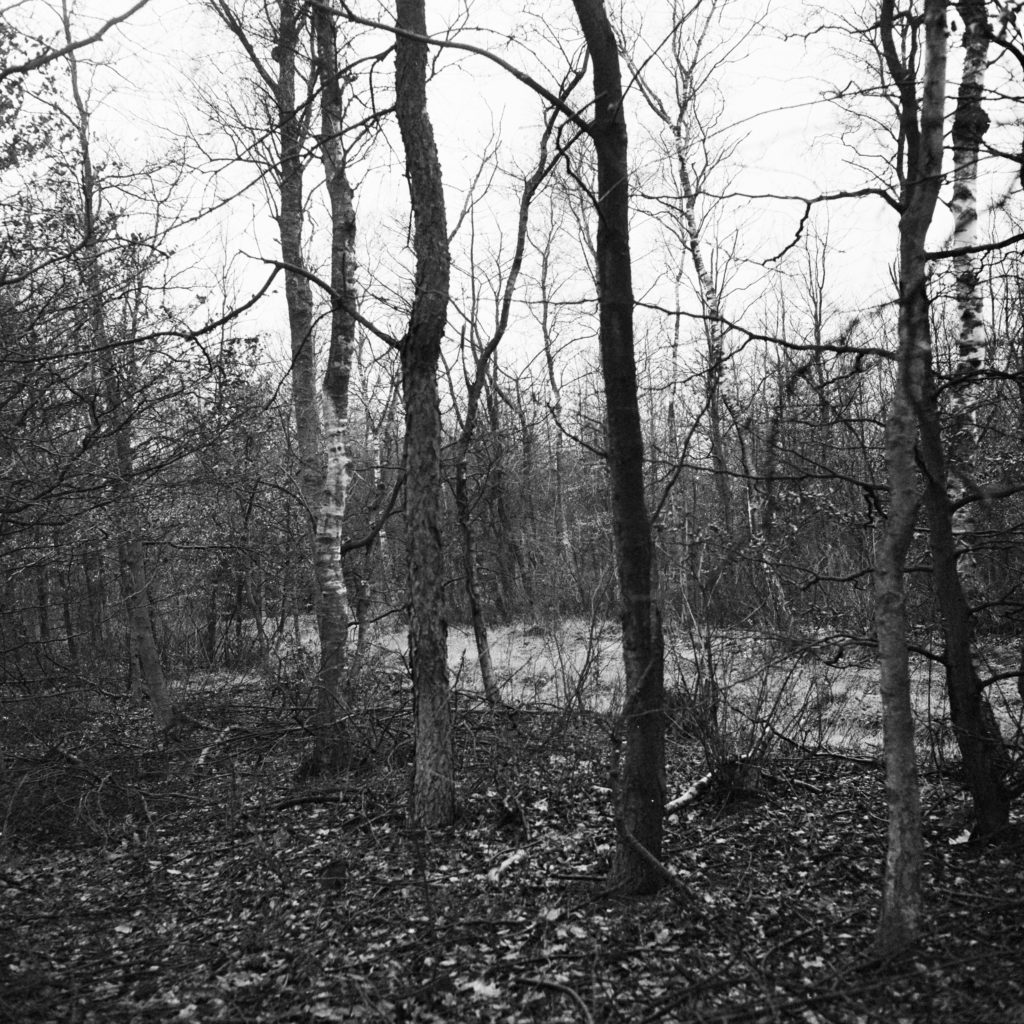 #32F South (Past) – Stroe