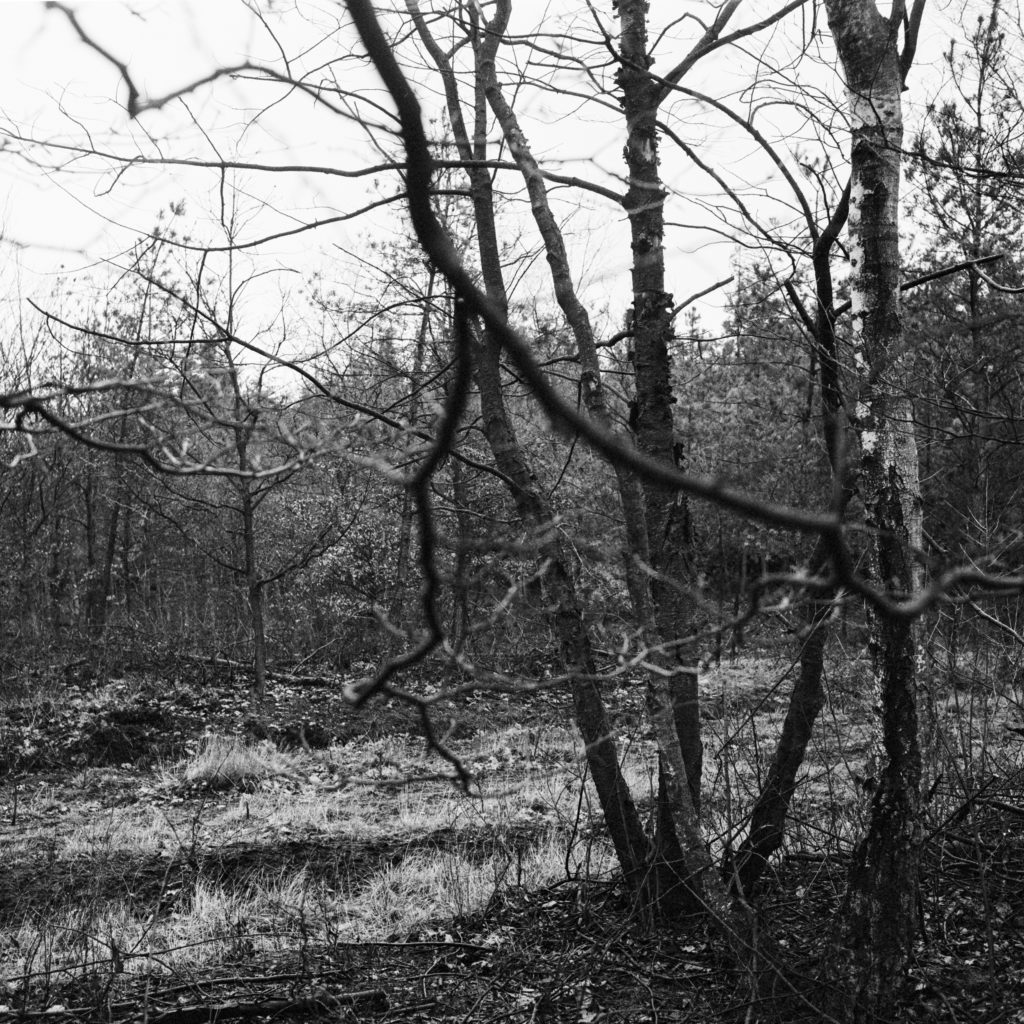 #32F West (Past) – Stroe