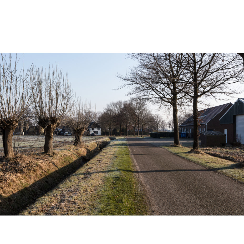 #46C East (Current) – Wanrooy