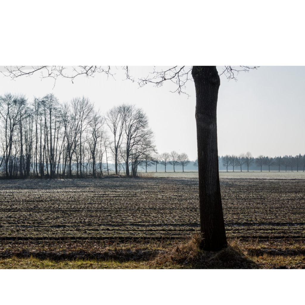 #46C South (Current) – Wanrooy