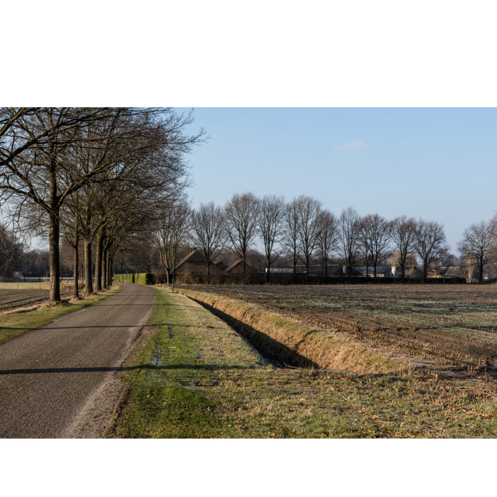 #46C West (Current) – Wanrooy