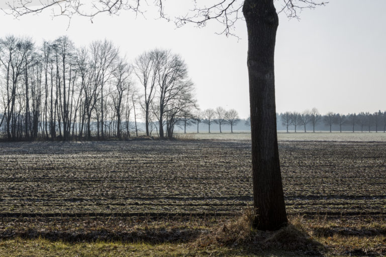 #46C South (Current) – Wanrooy