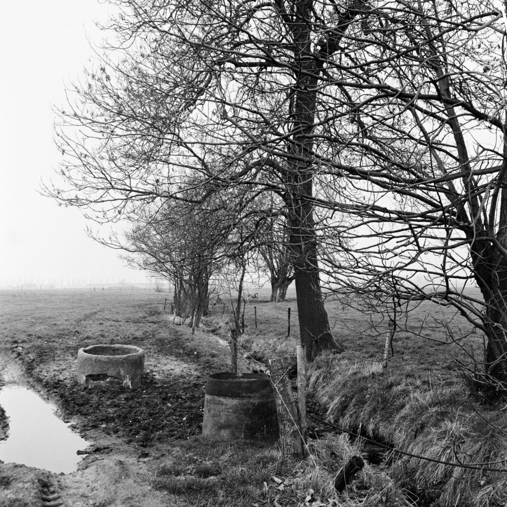 #46C North (Past) – Wanrooy