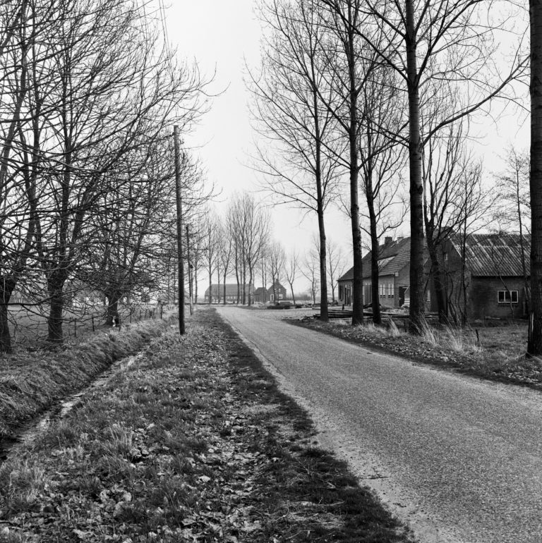 #46C East (Past) – Wanrooy