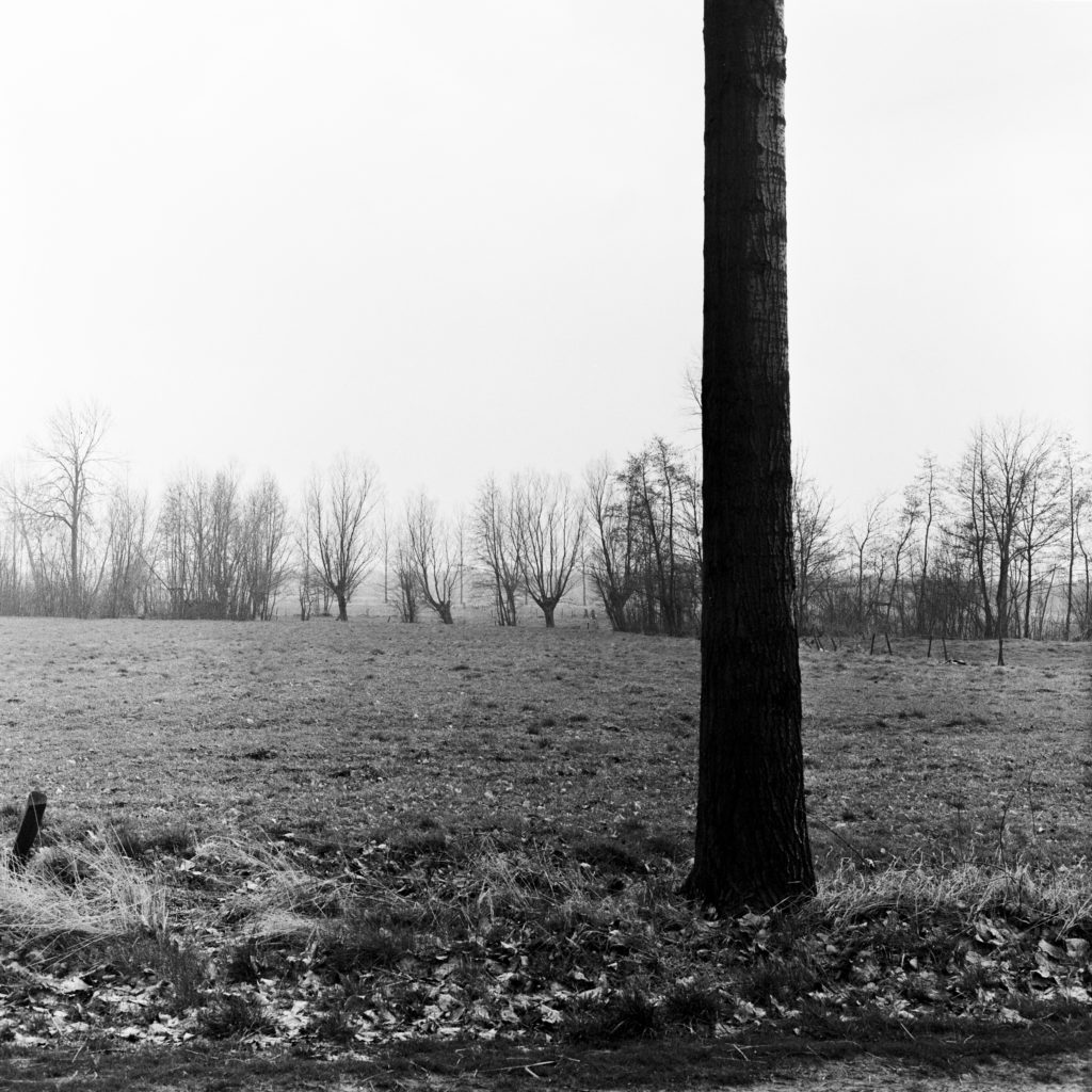 #46C South (Past) – Wanrooy