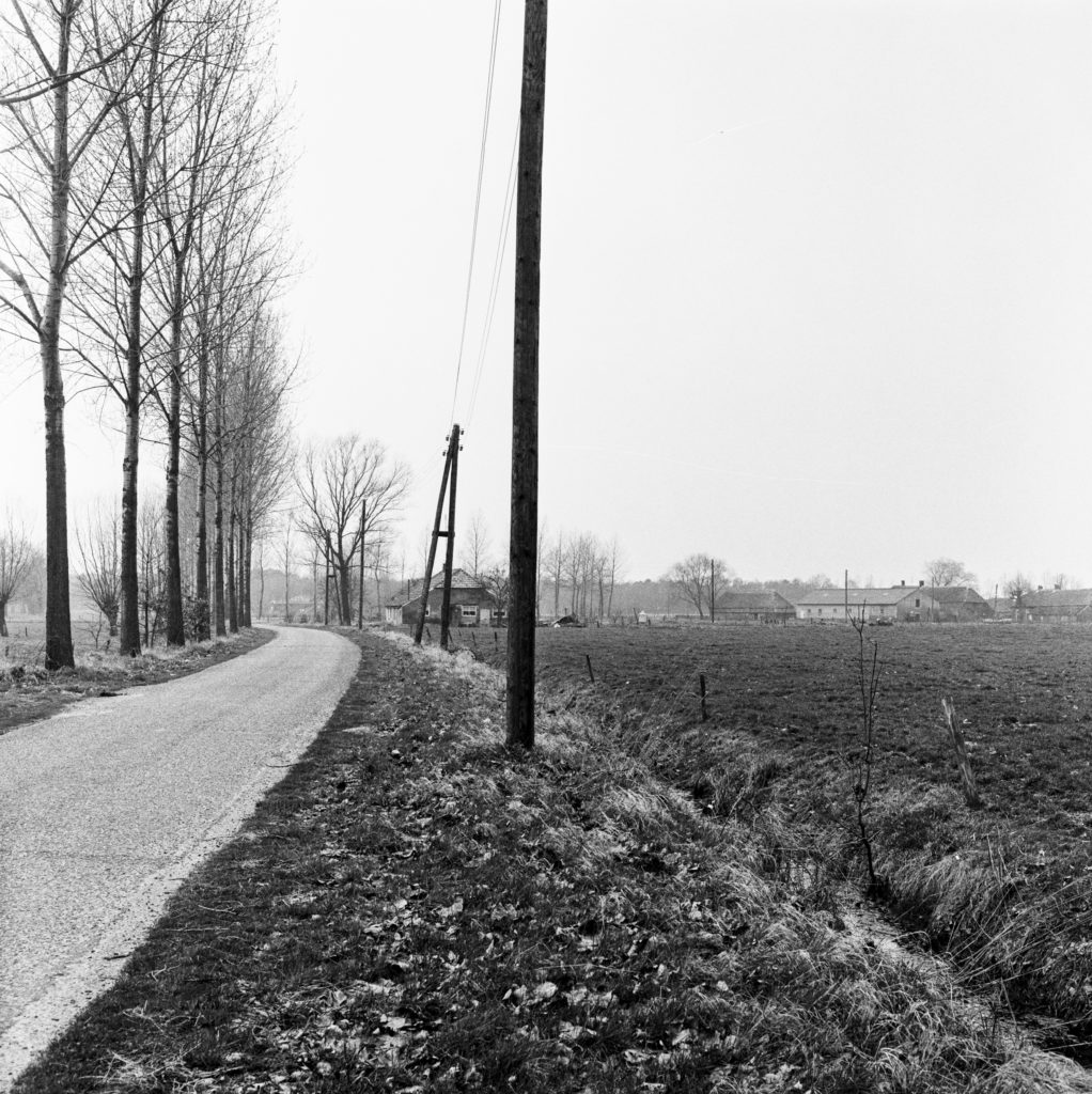 #46C West (Past) – Wanrooy