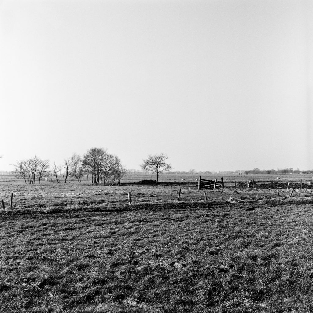 #16B West (Past) – Wolvega