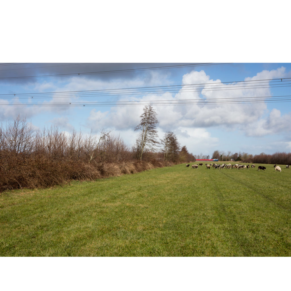 #6G North (Current) – Buitenpost