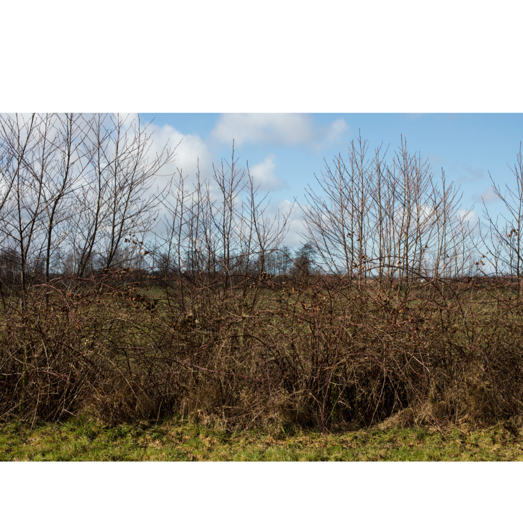 #6G West (Current) – Buitenpost