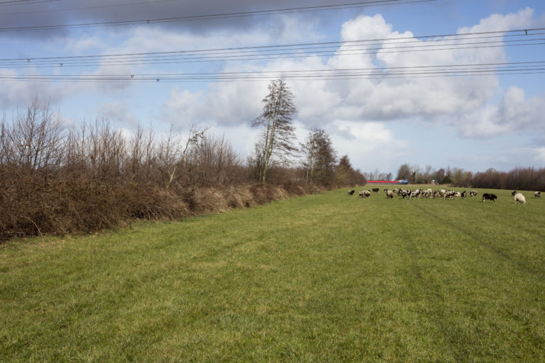 #6G North (Current) – Buitenpost