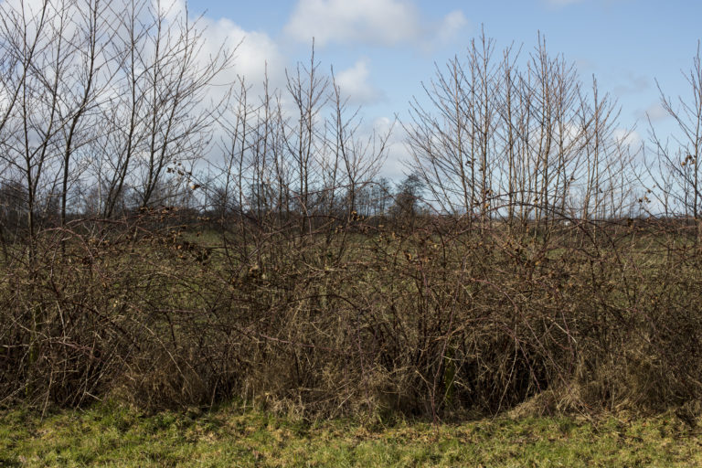 #6G West (Current) – Buitenpost