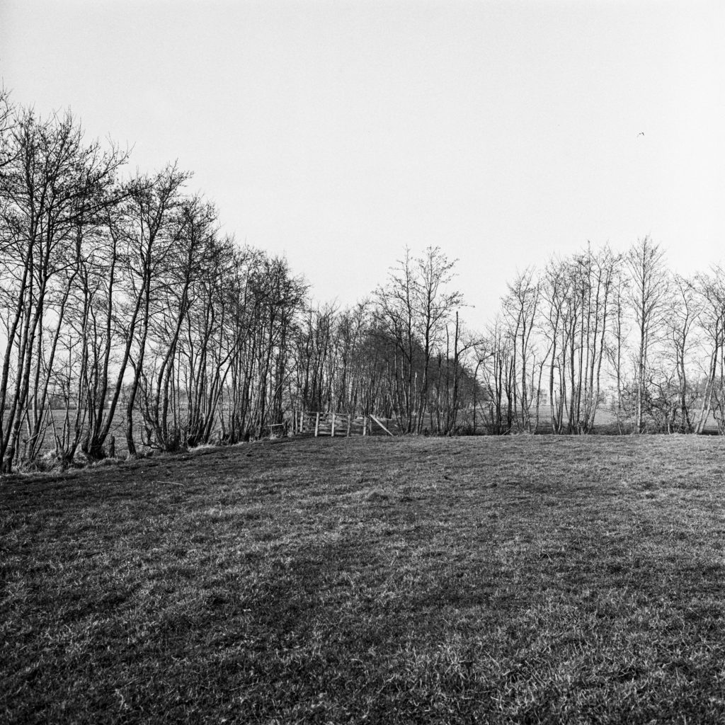 #6G North (Past) – Buitenpost