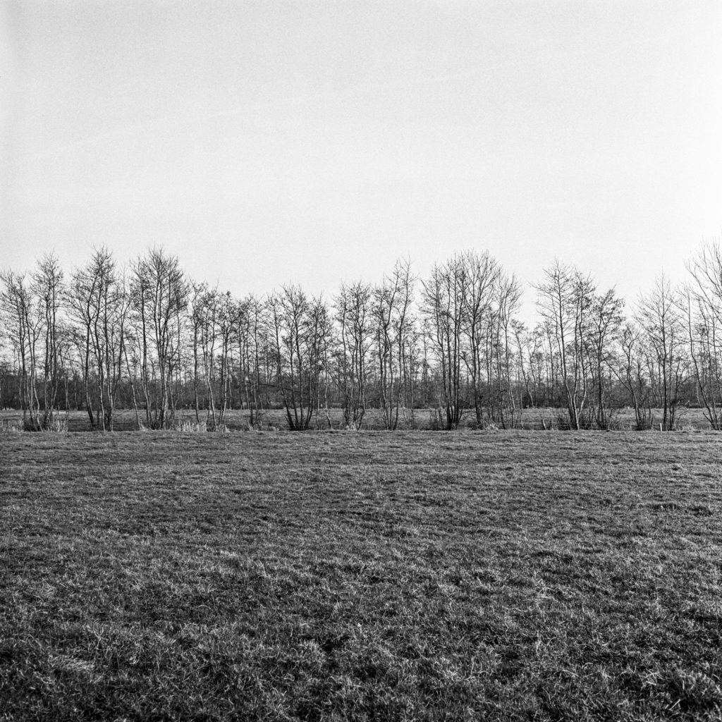 #6G East (Past) – Buitenpost