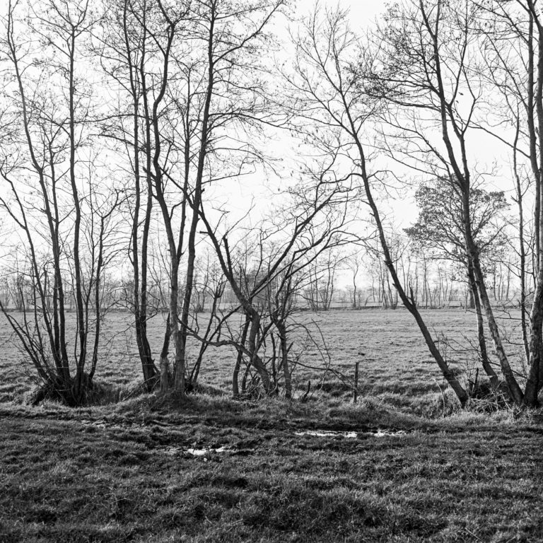 #6G West (Past) – Buitenpost