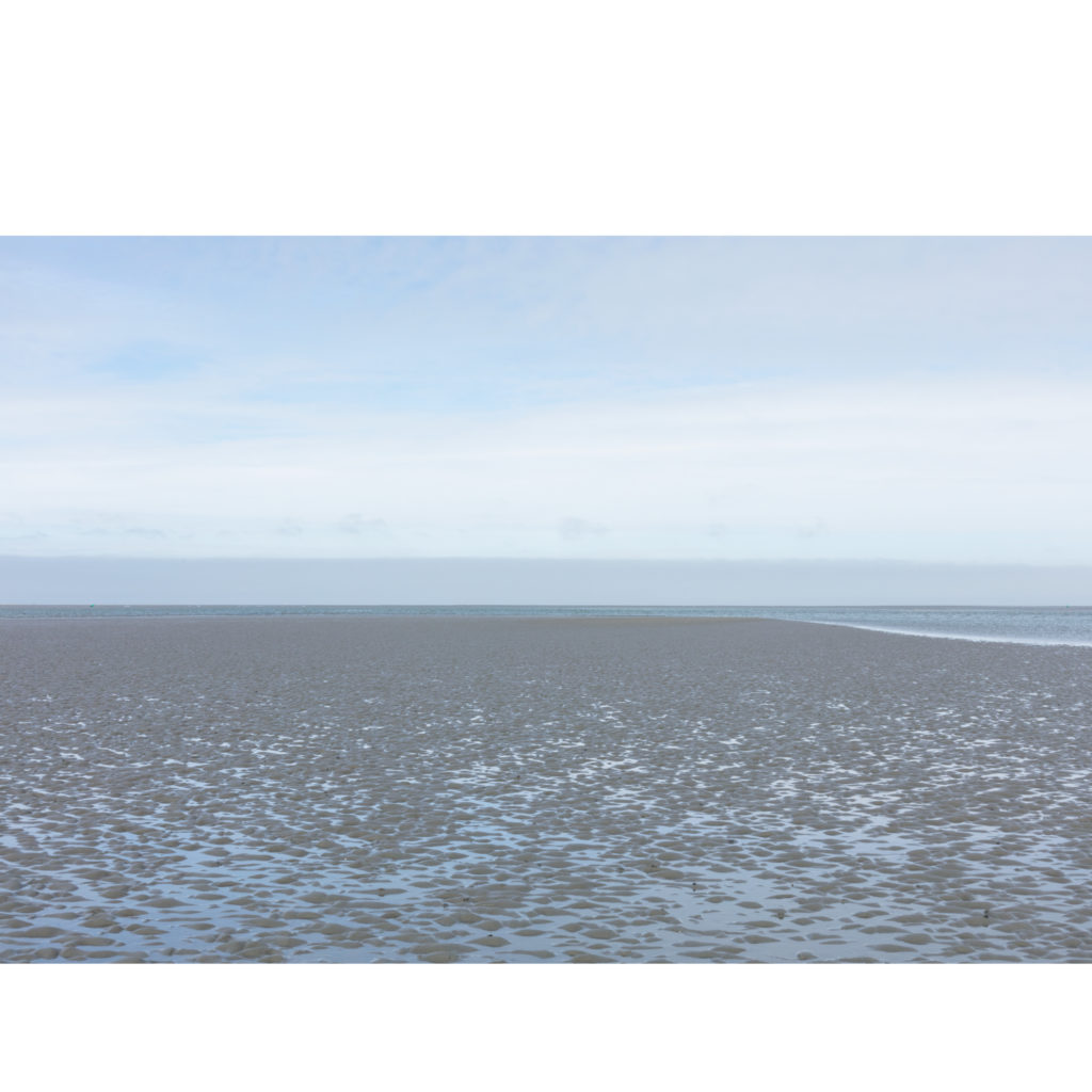 #2D North (Current) – Wierum