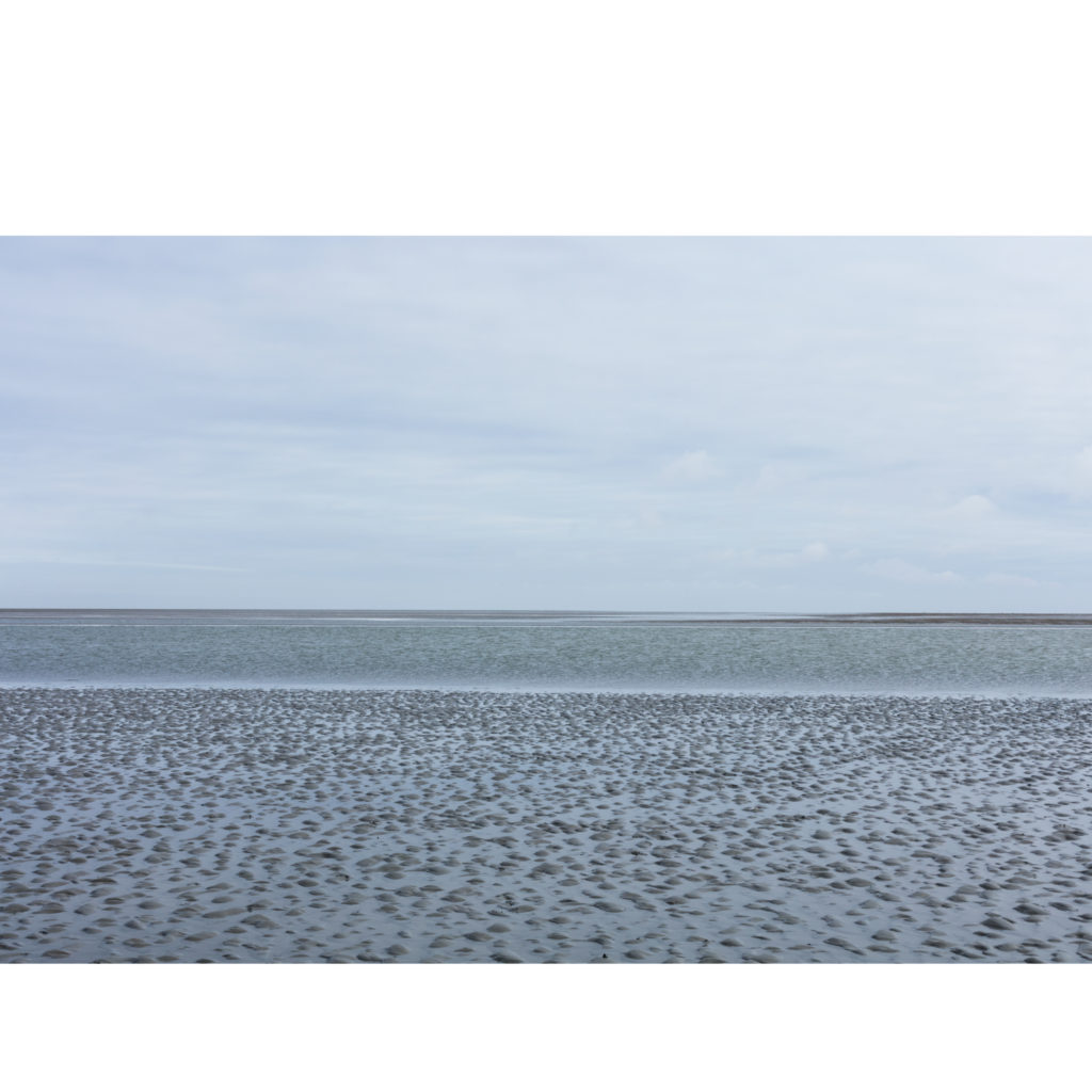 #2D East (Current) – Wierum