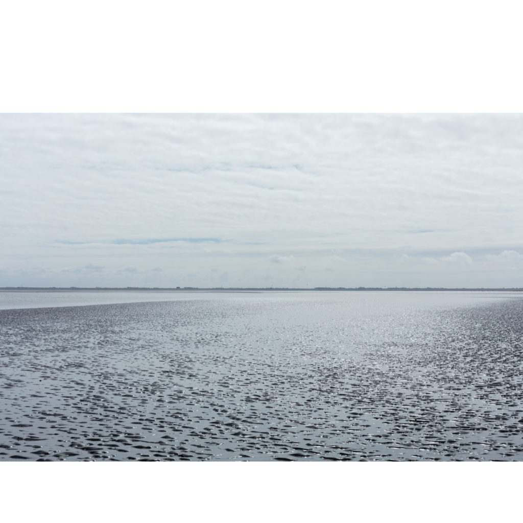 #2D South (Current) – Wierum