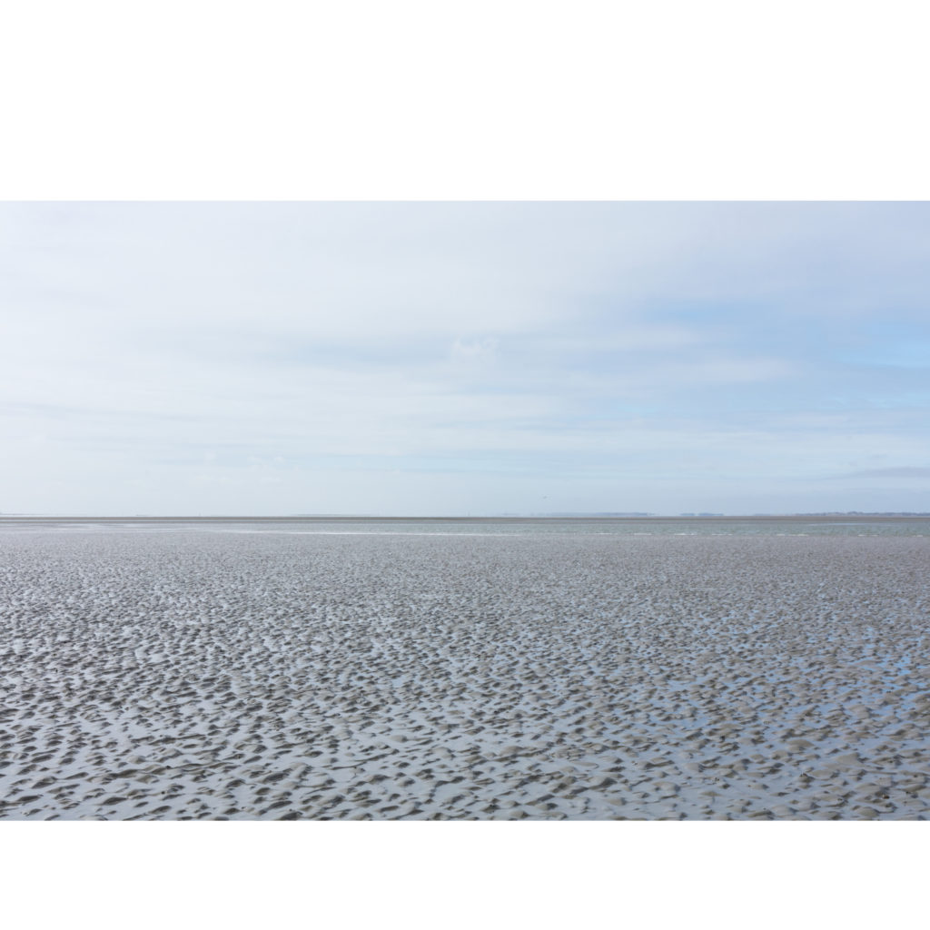 #2D West (Current) – Wierum