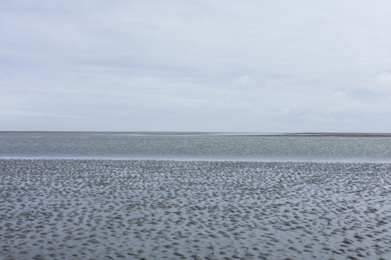 #2D East (Current) – Wierum