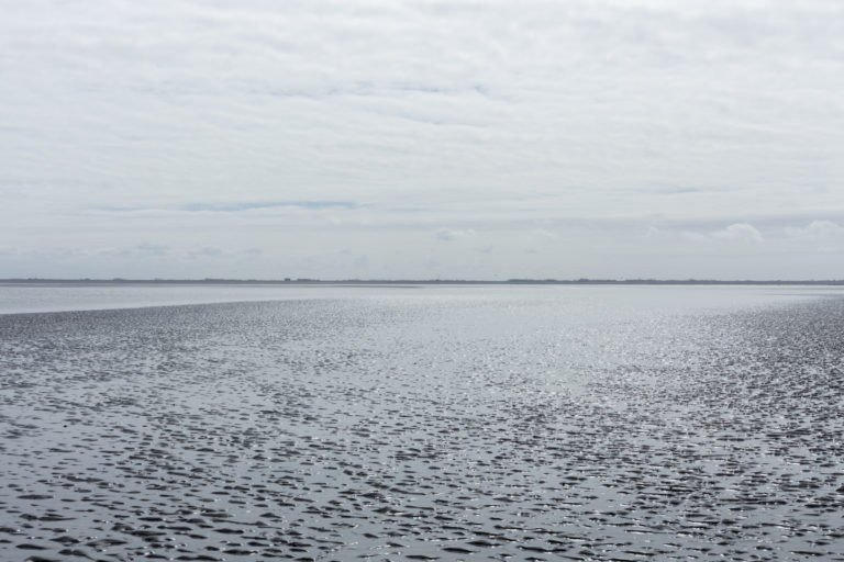 #2D South (Current) – Wierum