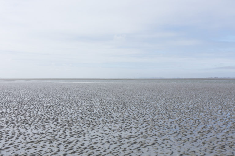 #2D West (Current) – Wierum