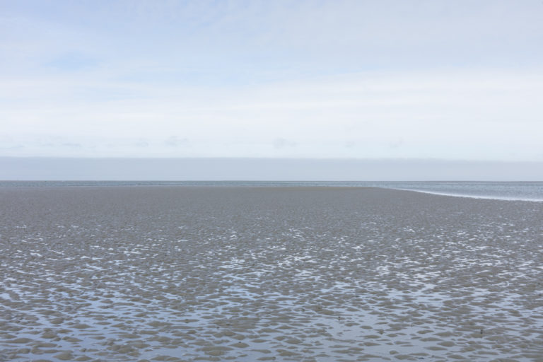 #2D North (Current) – Wierum