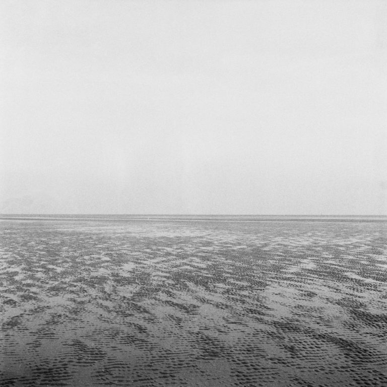 #2D North (Past) – Wierum