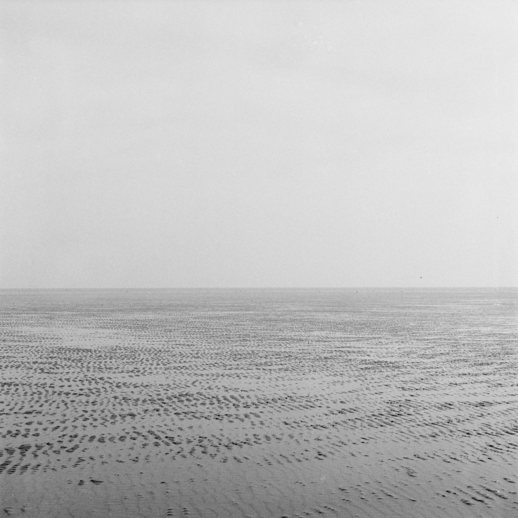 #2D East (Past) – Wierum