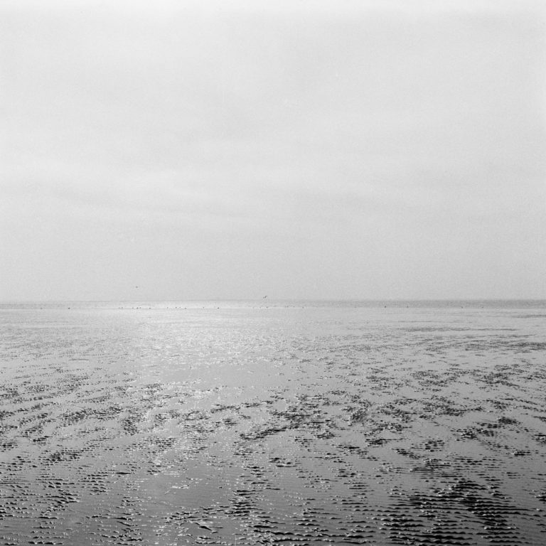 #2D South (Past) – Wierum