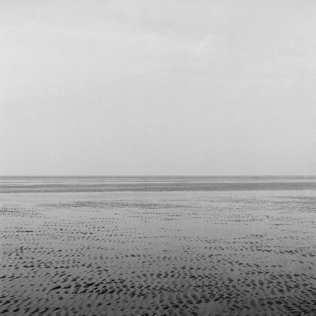 #2D West (Past) – Wierum